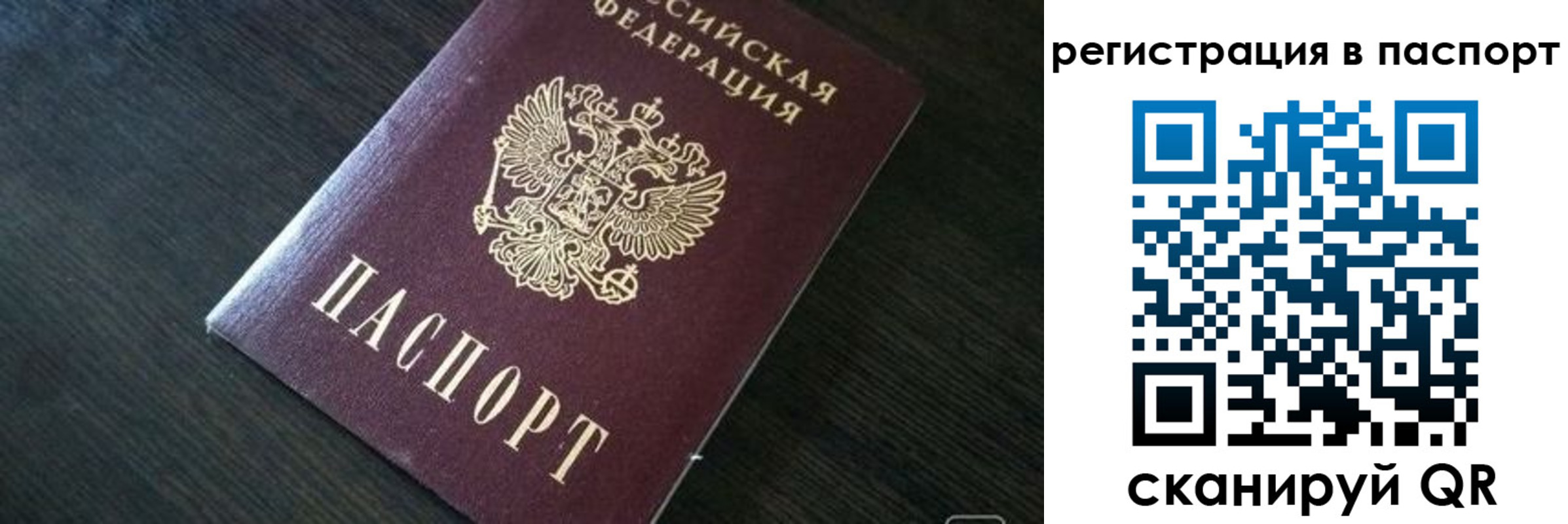 прописка в квартире в Ермолино